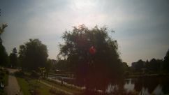 Rosarium Webcam