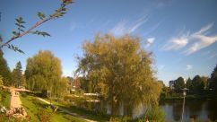 Rosarium Webcam
