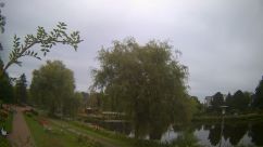 Rosarium Webcam