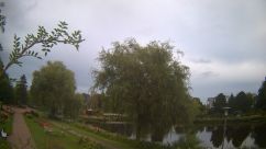 Rosarium Webcam