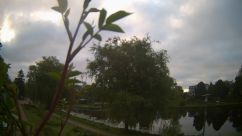 Rosarium Webcam