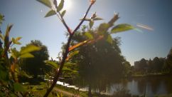 Rosarium Webcam