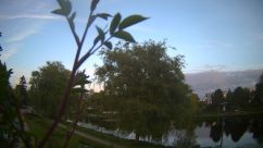 Rosarium Webcam