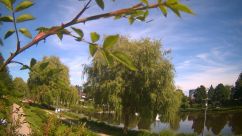 Rosarium Webcam