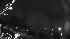 Rosarium Webcam