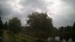 Rosarium Webcam