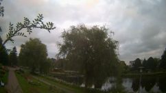 Rosarium Webcam