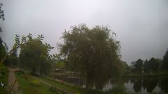 Rosarium Webcam