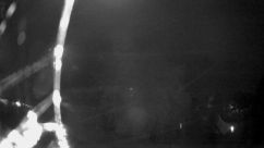 Rosarium Webcam