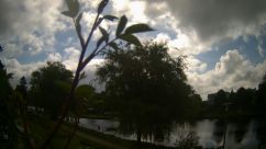 Rosarium Webcam