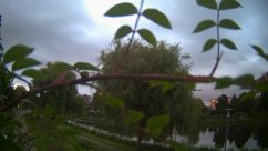 Rosarium Webcam