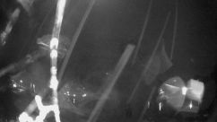 Rosarium Webcam
