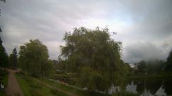 Rosarium Webcam