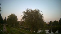 Rosarium Webcam