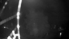 Rosarium Webcam
