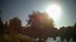Rosarium Webcam