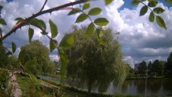 Rosarium Webcam