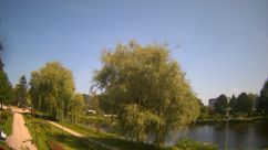 Rosarium Webcam