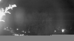 Rosarium Webcam