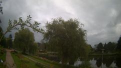 Rosarium Webcam