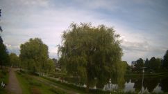 Rosarium Webcam