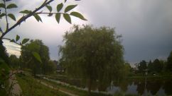 Rosarium Webcam