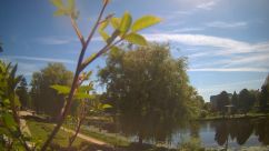 Rosarium Webcam