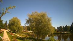 Rosarium Webcam