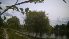 Rosarium Webcam