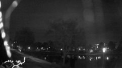 Rosarium Webcam