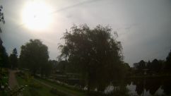 Rosarium Webcam
