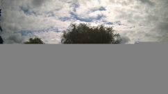 Rosarium Webcam