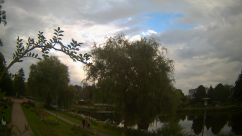 Rosarium Webcam