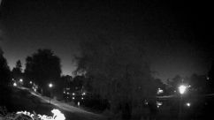 Rosarium Webcam