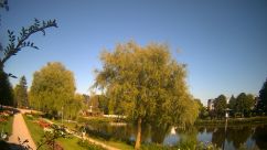 Rosarium Webcam