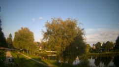 Rosarium Webcam