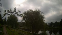 Rosarium Webcam