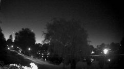 Rosarium Webcam