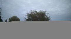 Rosarium Webcam
