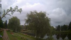Rosarium Webcam