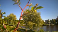Rosarium Webcam