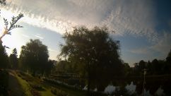 Rosarium Webcam