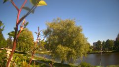 Rosarium Webcam