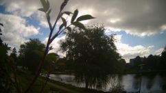 Rosarium Webcam