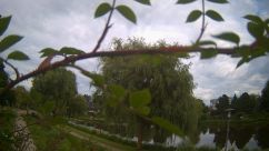 Rosarium Webcam
