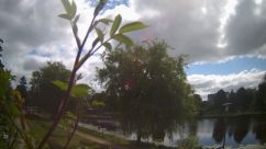 Rosarium Webcam