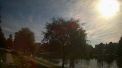 Rosarium Webcam