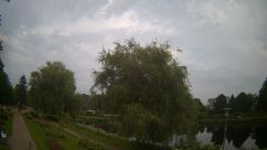 Rosarium Webcam