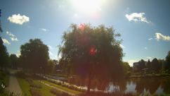Rosarium Webcam