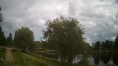 Rosarium Webcam